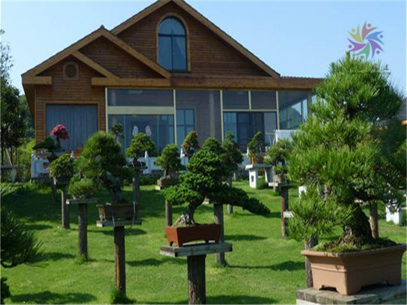 yuKptS_540x304_00.jpg