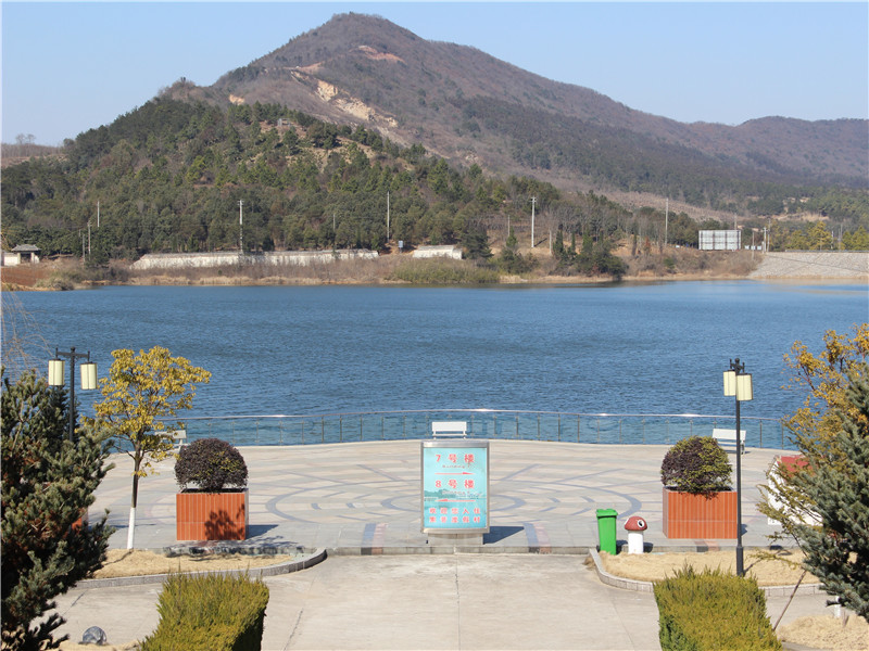 茅山基地 (7).jpg