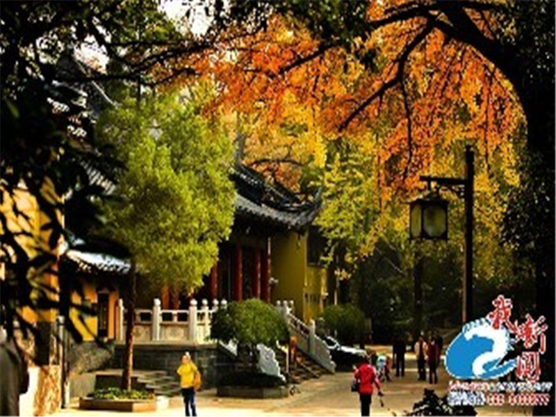 靈谷寺 (1).jpg