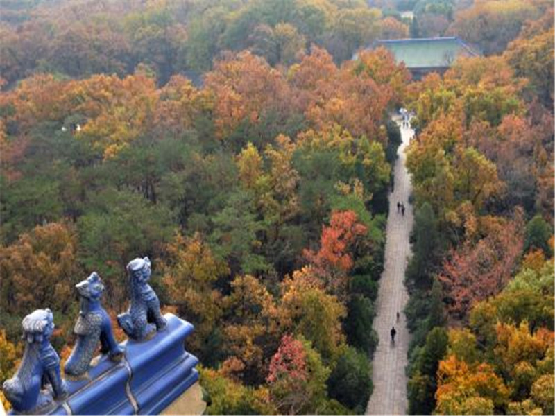 靈谷寺 (2).jpg
