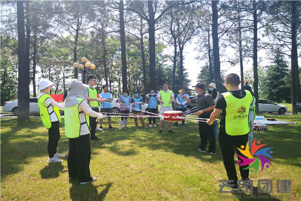 南京培訓拓展公司——蘇博咨詢夏季團建活動