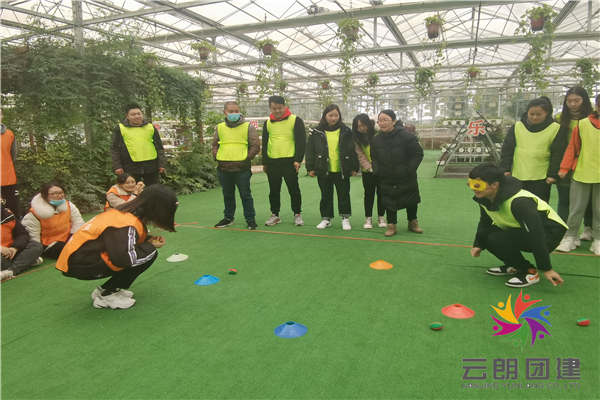 南京室內(nèi)拓展訓(xùn)練——樂(lè)博企業(yè)拓展培訓(xùn)活動(dòng)