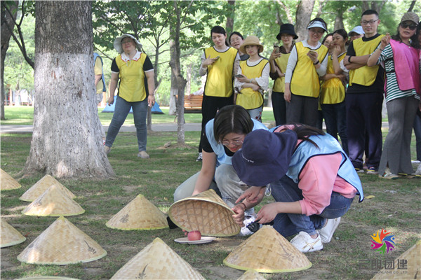 南京夏季大學(xué)生高級研修班拓展活動