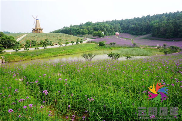 南京周邊團(tuán)建好去處-南京團(tuán)建基地