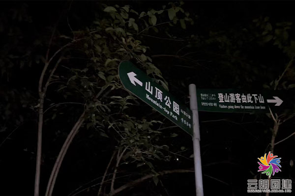 南京團建紫金山登山攻略