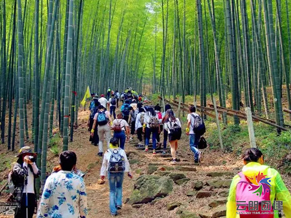 南京旅行團建—宜興兩天團建活動